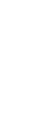 TEEMTEC image