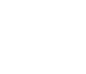 Teemtec logo