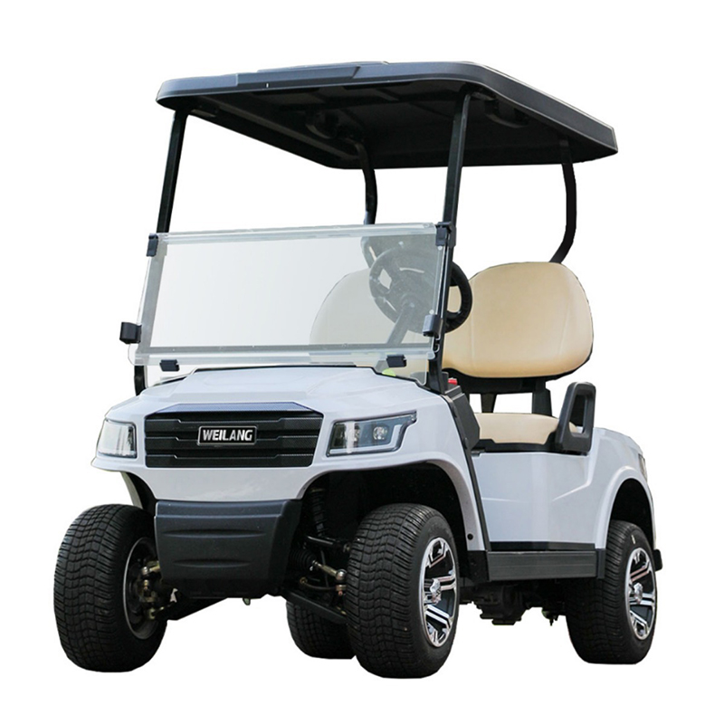 2-Seater Golf Carts_copy